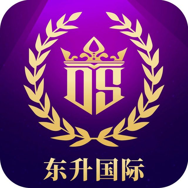 东升国际